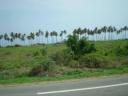 Coastline - Benin or Togo