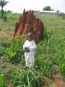 Jonas Dansou by Termite Mound