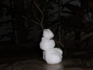 African Snowman. This is a close as we will get