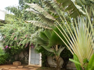 Yard and gate of Lome Home