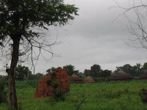 A termite mound and tata somba village