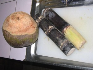Sugar Cane and Coconut - courtesy Marlene